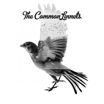 Ilse Delange & Waylon - The Common Linnets