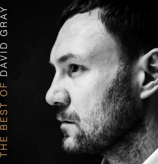 DAVID GRAY - BEST OF DAVID GRAY (2LP)