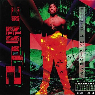 2PAC - STRICTLY 4 MY NIGGAZ (LP)