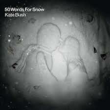 KATE BUSH - 50 WORDS FOR SNOW (LP)