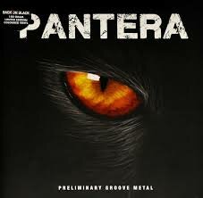 PANTERA - PRELIMINARY GROOVE METAL (LP)