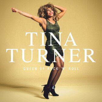 TINA TURNER - QUEEN OF ROCK &#039;N ROLL (LP)