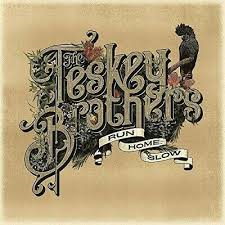 TESKEY BROTHERS - RUN HOME SLOW (LP)