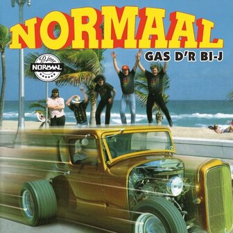 NORMAAL - GAS D&#039;R BIJ (LP)