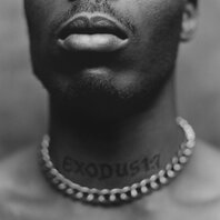 DMX - EXODUS (LP) DMX - EXODUS (LP)