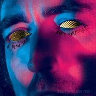 A PLACE TO BURY STRANGERS - SEE THROUGH YOU (LP) A PLACE TO BURY STRANGERS - SEE THROUGH YOU (LP)