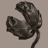 PET SHOP BOYS - RELEASE (LP) PET SHOP BOYS - RELEASE (LP)