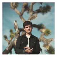 TOM SPEIGHT - EVERYTHING'S WAITING FOR YOU (LP) TOM SPEIGHT - EVERYTHING'S WAITING FOR YOU (LP)