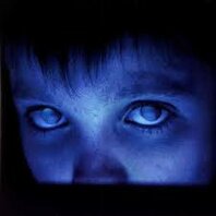 PORCUPINE TREE - FEAR OF A BLANK PLANET (2LP)