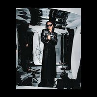 ERIKA DE CASIER - STILL (LP) ERIKA DE CASIER - STILL (LP)