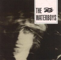 THE WATERBOYS - THE WATERBOYS (LP) THE WATERBOYS - THE WATERBOYS (LP)