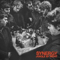 JUNGLE BY NIGHT - SYNERGY (2LP) JUNGLE BY NIGHT - SYNERGY (2LP)