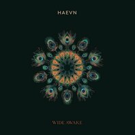 HAEVN - WIDE AWAKE (LP) HAEVN - WIDE AWAKE (LP)