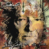 WILLIE NELSON - LAST LEAF ON THE TREE (2LP) WILLIE NELSON - LAST LEAF ON THE TREE (2LP)
