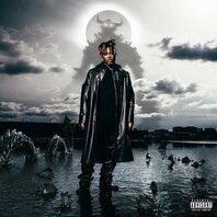 JUICE WRLD - FIGHTING DEMONS (2LP) JUICE WRLD - FIGHTING DEMONS (2LP)