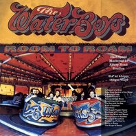 WATERBOYS - ROOM TO ROAM (2LP) WATERBOYS - ROOM TO ROAM (2LP)