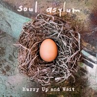 SOUL ASYLUM - HURRY UP AND WAIT (2LP) SOUL ASYLUM - HURRY UP AND WAIT (2LP)