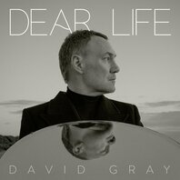 DAVID GRAY - DEAR LIFE (2LP/GREEN) DAVID GRAY - DEAR LIFE (2LP/GREEN)
