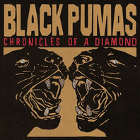 BLACK PUMAS - CHRONICLES OF A DIAMOND (LP) BLACK PUMAS - CHRONICLES OF A DIAMOND (LP)