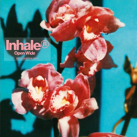 INHALER - OPEN WIDE (LP/PINK) INHALER - OPEN WIDE (LP/PINK)