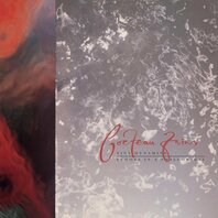 COCTEAU TWINS - TINY DYNAMIME (LP) COCTEAU TWINS - TINY DYNAMIME (LP)