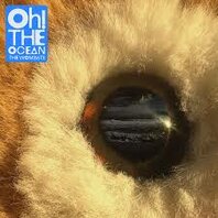 WOMBATS -  OH! THE OCEAN (LP) WOMBATS -  OH! THE OCEAN (LP)