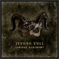 JETHRO TULL - CURIOUS RUMINATS (LP/ORANGE) JETHRO TULL - CURIOUS RUMINATS (LP/ORANGE)