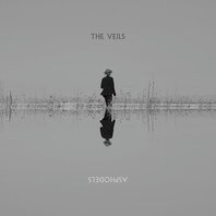 VEILS - ASPHODELS (2LP) VEILS - ASPHODELS (2LP)