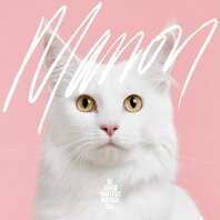 DE JEUGD VAN TEGENWOORDIG - MANON (LP)