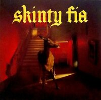 FONTAINES D.C. - SKINTY FIA (LP)