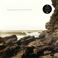 POLYGON WINDOW - SURFING ON SINE WAVES (2LP) POLYGON WINDOW - SURFING ON SINE WAVES (2LP)