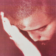 NOURISHED BY TIME - THE PASSIONATE ONES (LP)