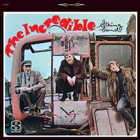 INCREDIBLE STRING BAND - INCREDIBLE STRING BAND (LP)